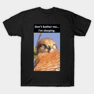 Hawk Sleeping "Don't bother me...I'm sleeping" T-Shirt